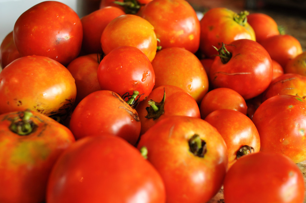 fresh tomatoes