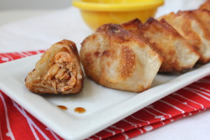 pork and kimchi dumpling