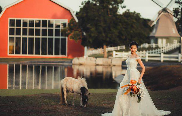 A bride at the Old Grove Farmstead